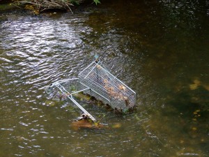 The battle over a supermarket trolley