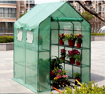 Tips for Setting Up A Greenhouse in Tropical Weather